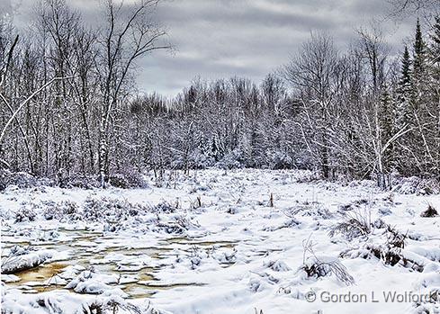 Winter Marsh_32423-4.jpg - Photographed near Eastons Corners, Ontario, Canada.